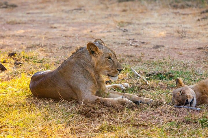 3-Day Samburu Safari from Nairobi — Grevy’s Zebra, Gerenuk & the Ewaso Nyiro