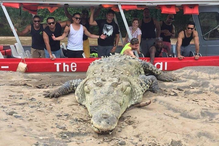 Tarcoles Crocodile Safari and Carara National Park Private Tour photo 3