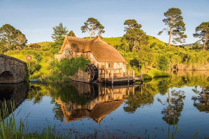 Auckland to Rotorua via Hobbiton: One-Way Small-Group Tour Guide photo 4