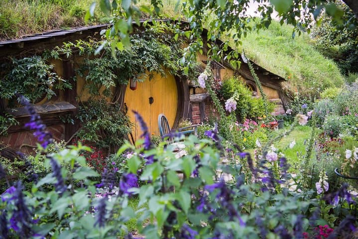 Auckland to Rotorua via Hobbiton: One-Way Small-Group Tour Guide photo 5