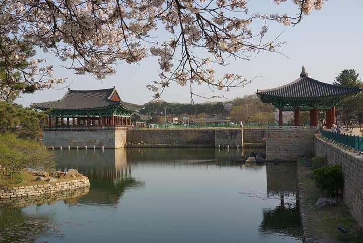 Explore Gyeongju's Ancient Wonders and Vibrant Busan on a Private Tour photo 6