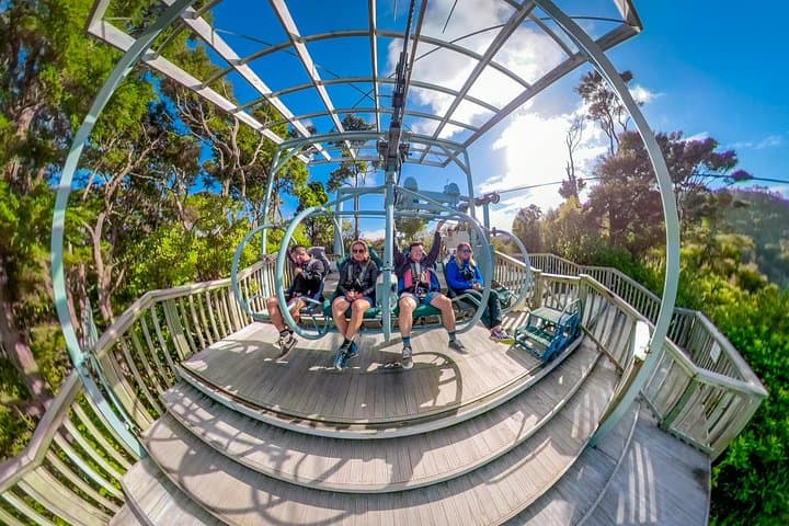 Skywire at Cable Bay: Nelson's 12-Minute Flying Fox Adventure photo 3
