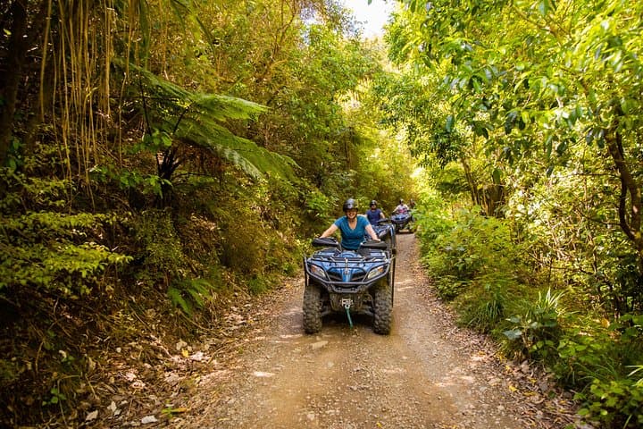 Quad Bike Farm & Forest Ride Near Nelson: 90-Minute ATV Adventure photo 1