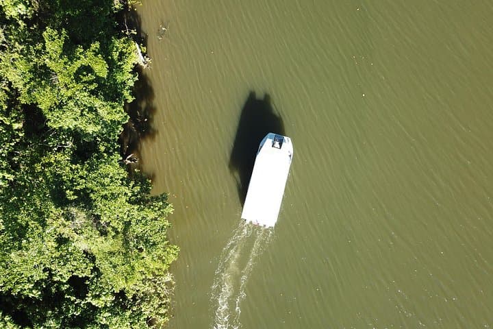 Daintree River 1-Hour Wildlife Cruise from Port Douglas photo 2