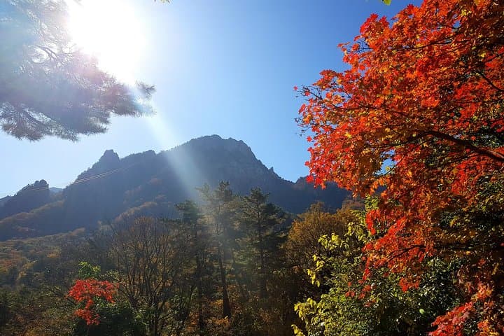 Summit Seorak: 2-Day Guided Ascent to Daecheongbong (1,708 m) photo 4