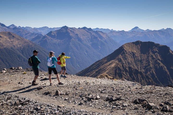 Kepler Track Heli Hike to Luxmore Hut — Day Trip from Te Anau