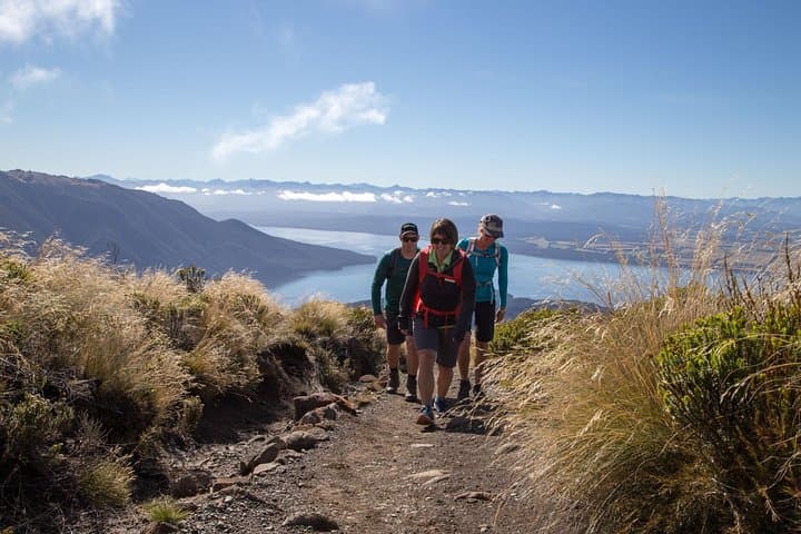 Kepler Track Heli Hike to Luxmore Hut — Day Trip from Te Anau photo 5