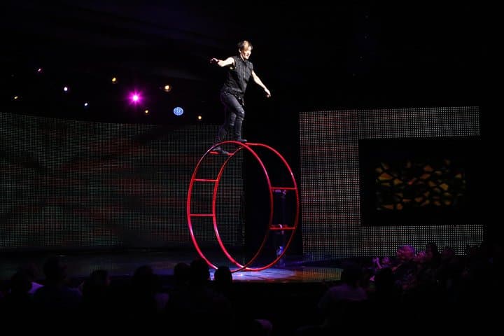 V — The Ultimate Variety Show at Planet Hollywood, Las Vegas: What to Expect & Tickets photo 5