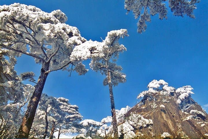 3-Day Private Huangshan Tour: Hongcun Village & Overnight on Yellow Mountain photo 6