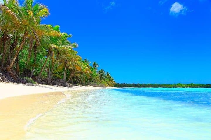 Saona Island Full-Day: Speedboat & Catamaran Excursion from Punta Cana & Bayahibe photo 6
