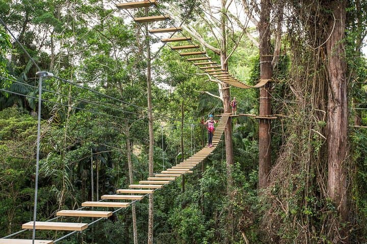 Sunshine Coast TreeTop Challenge at The Big Pineapple: Australia's Highest Ziplines photo 6
