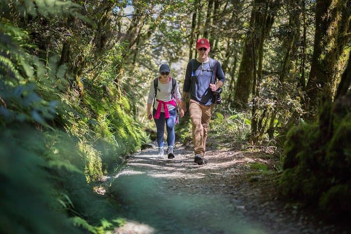 Full-Day Routeburn Track & Key Summit Guided Walk from Te Anau photo 4