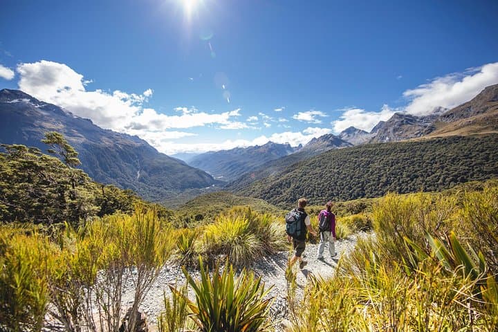 Full-Day Routeburn Track & Key Summit Guided Walk from Te Anau photo 6