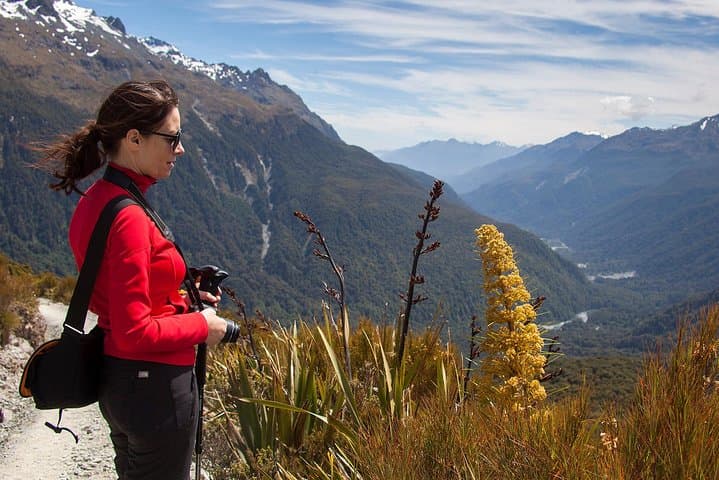 Full-Day Routeburn Track & Key Summit Guided Walk from Te Anau photo 5