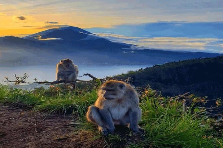 Mt Batur Sunrise Trekking: Private Dawn Hike Above Kintamani, Bali photo 3