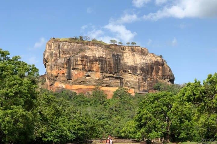 Sigiriya and Minneriya Safari from Ella: Climb Lion Rock and Witness the Elephant Gathering