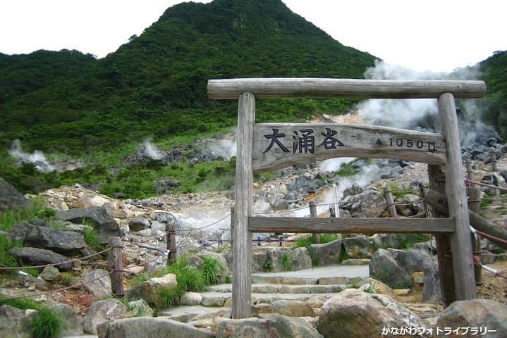 Mt. Fuji and Hakone Day Trip From Tokyo — Ropeway, Owakudani & Lake Ashi Cruise photo 5