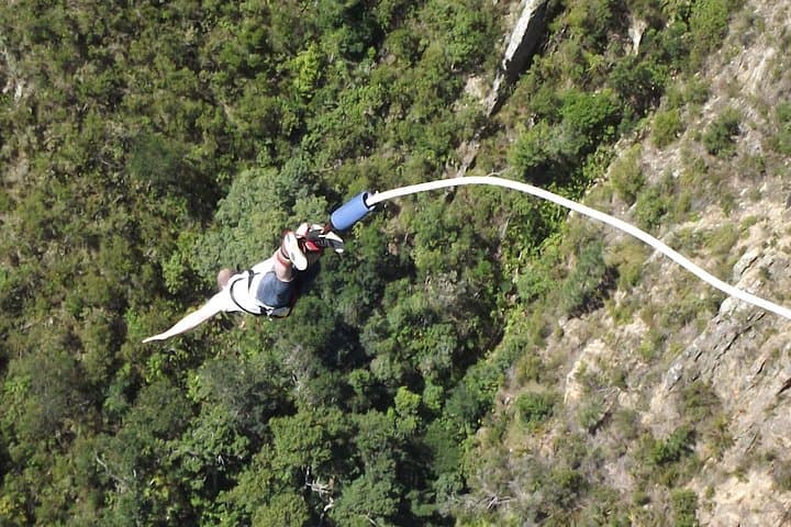 3-Day Garden Route Highlights and Safari from Cape Town photo 4