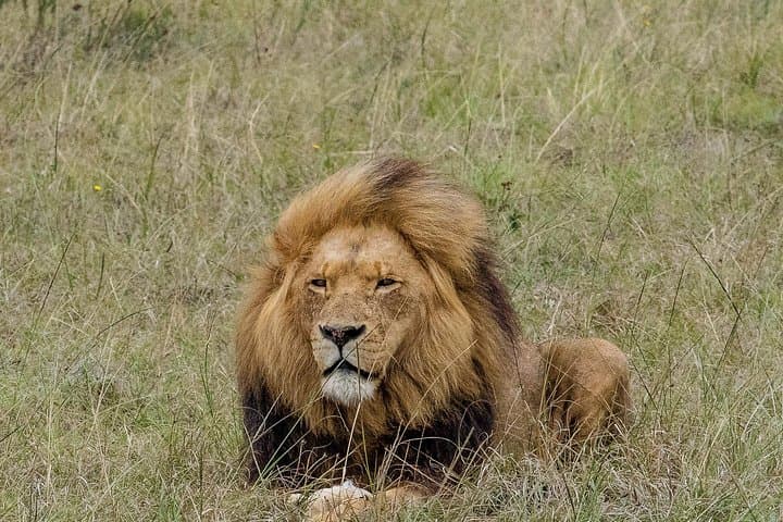 3-Day Garden Route Highlights and Safari from Cape Town photo 3