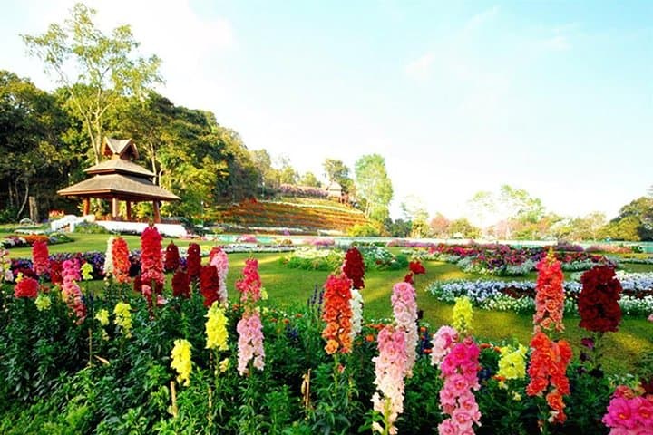 Doi Suthep & Phu Ping Palace Half-Day Cultural Tour from Chiang Mai photo 5