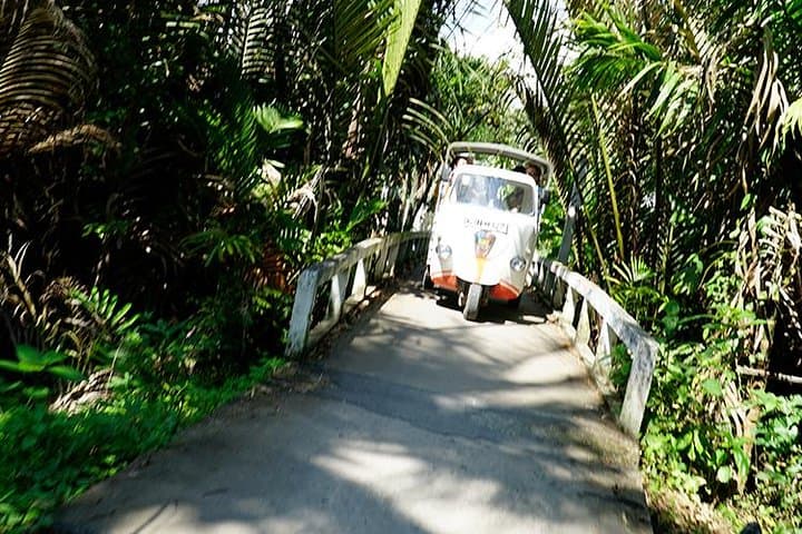 Authentic Mekong Delta Private Day Tour from Ho Chi Minh City — Sampans, Orchards & Pagodas photo 6