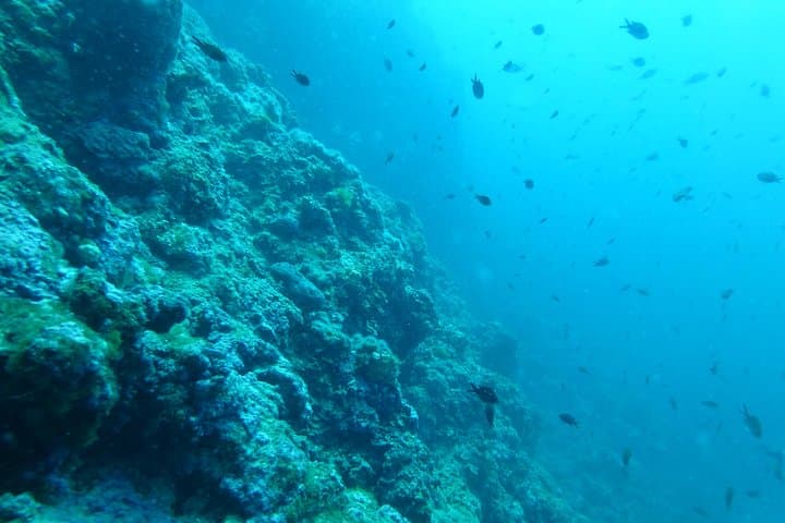 Pula Boat Trip with Snorkeling — Family-Friendly Adriatic Excursion from Verudela photo 5