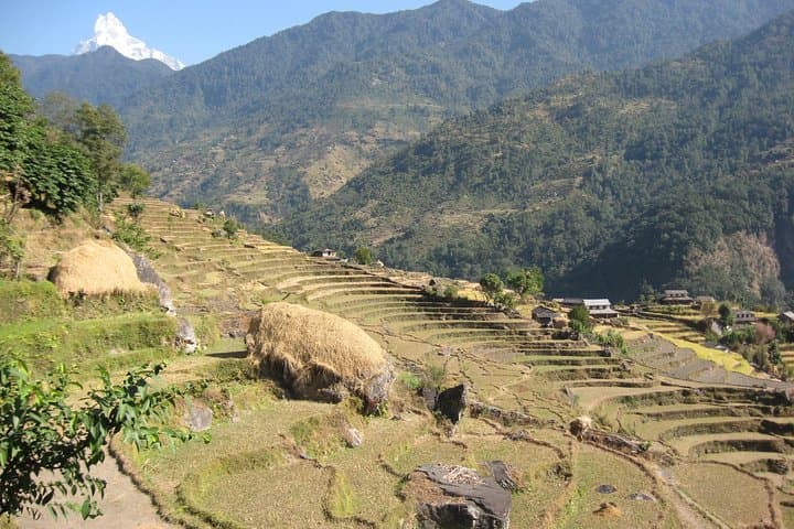 Poon Hill 6-Day Private Trek: Ghorepani Sunrise & Annapurna Panorama photo 2