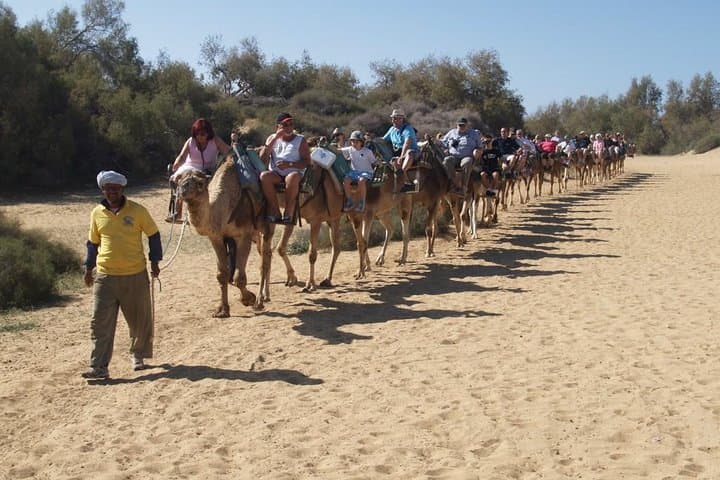 E-Bike and Camel Safari Through Maspalomas Dunes: Ride, Dunes & Oasis photo 5
