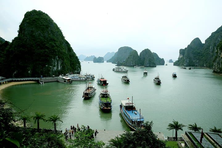 Halong Bay Day Cruise with Kayaking from Hanoi — Cave and Bamboo Boat Adventure photo 3