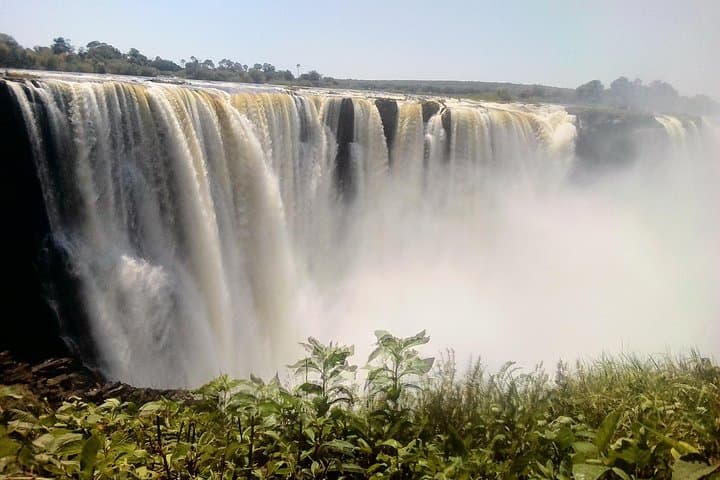 Hwange Safari Day Trip from Victoria Falls — Full-Day Wildlife & Conservation Guide photo 4