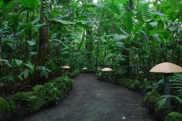 8-Day Jungle & Culinary Adventure from San Jose — Costa Rica Food, Wildlife & Beaches photo 6