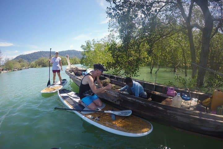 Mangroves SUP Tour Phuket: Paddle Mangrove Canals to Phang Nga Bay photo 4