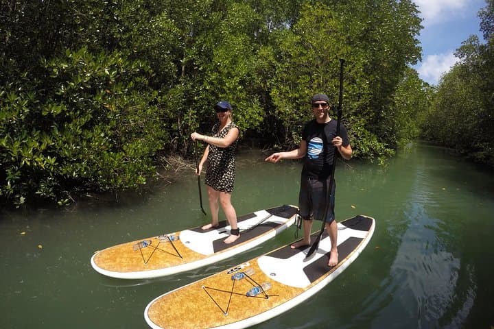 Mangroves SUP Tour Phuket: Paddle Mangrove Canals to Phang Nga Bay photo 6