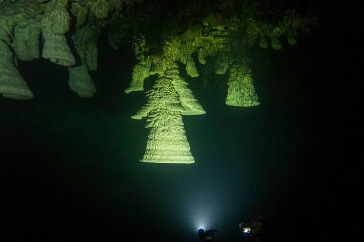 Cenote Cavern Dives at Zapote & Kin Ha — Advanced Dives Near Playa del Carmen