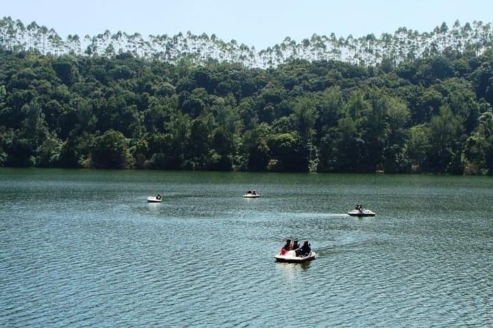Munnar Tea Valley Tour: A Day Through Tea Gardens, Dams, and Misty Viewpoints photo 2