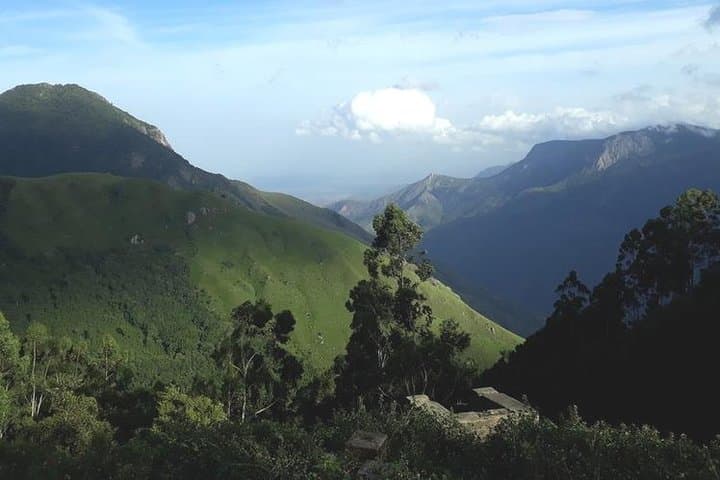 Munnar Tea Valley Tour: A Day Through Tea Gardens, Dams, and Misty Viewpoints photo 3