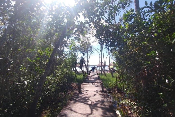 Tulum to Kaan Luum: Oceanfront Ruins, Lagoon & Cenote Private Tour photo 5