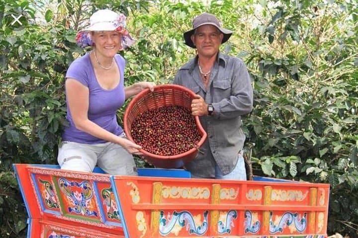 Doka Estate Coffee Tour — Grecia & Sarchí Oxcarts Private Day Trip photo 2