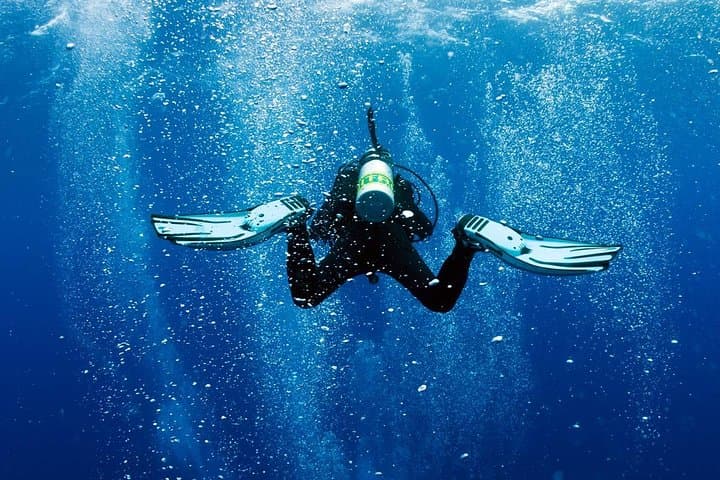 Mauritius Exploration Dives — Blue Bay Reefs & Southeast Wrecks photo 2