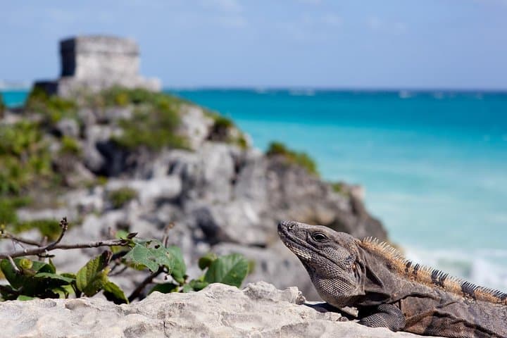 Private Tulum and Coba Tour: Ruins, Coba Bikes and Beach Walk photo 3