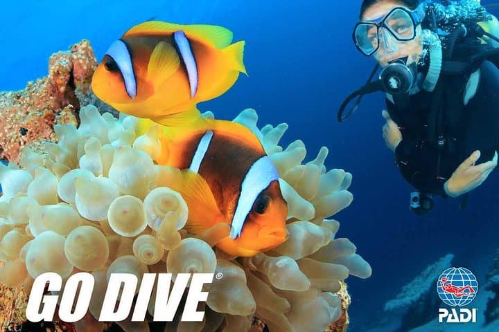 Mauritius Exploration Dives — Blue Bay Reefs & Southeast Wrecks