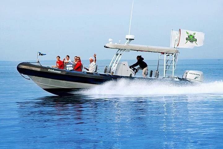 Catalina Island Day Trip from LA: Ferry, Zipline & Undersea Adventures photo 4