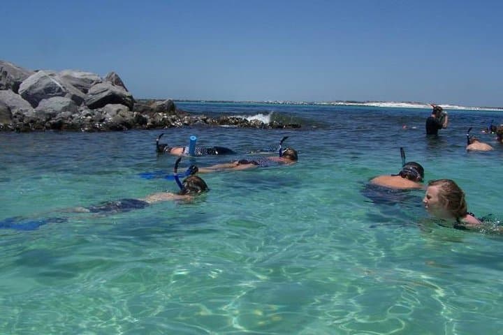 Snorkeling, Shelling & Eco Excursion on Destin's Emerald Coast photo 2