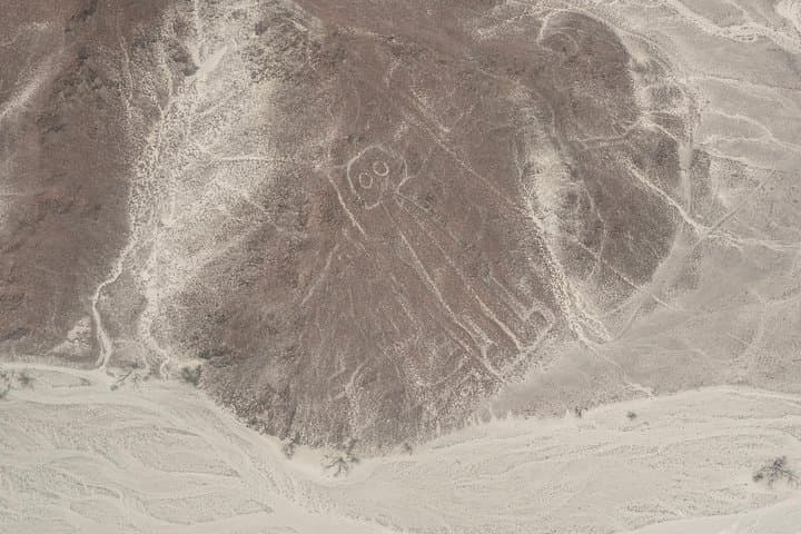 Nazca Lines Aerial Tour from Lima — Full-Day Flight Over Ancient Geoglyphs photo 3
