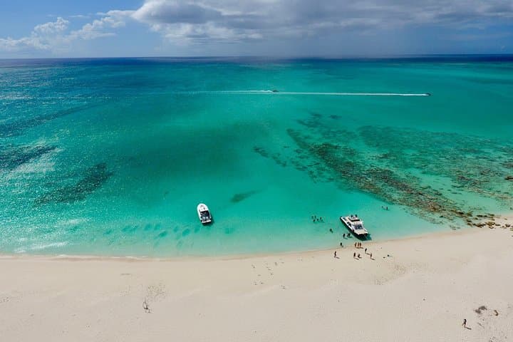 Half-Day Snorkel Cruise to Grace Bay Reef & Little Water Cay (Iguana Island) photo 4