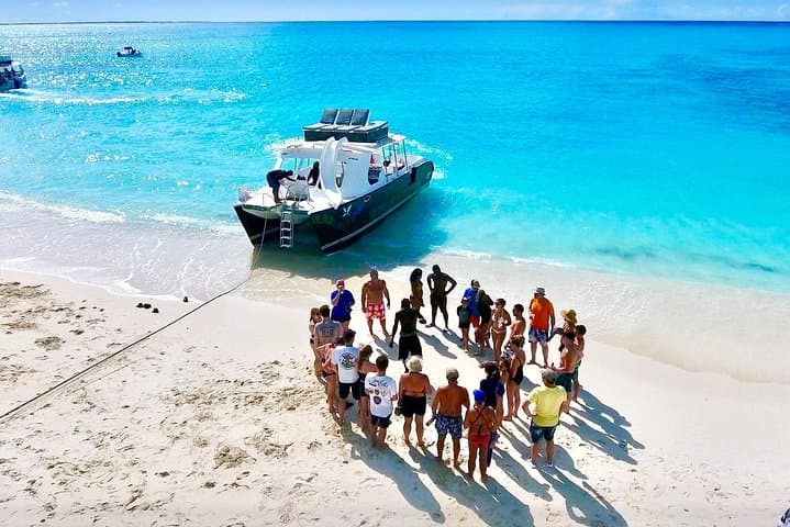 Half-Day Snorkel Cruise to Grace Bay Reef & Little Water Cay (Iguana Island) photo 5