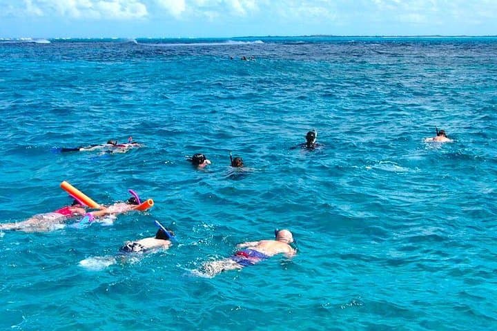 Half-Day Snorkel Cruise to Grace Bay Reef & Little Water Cay (Iguana Island) photo 2
