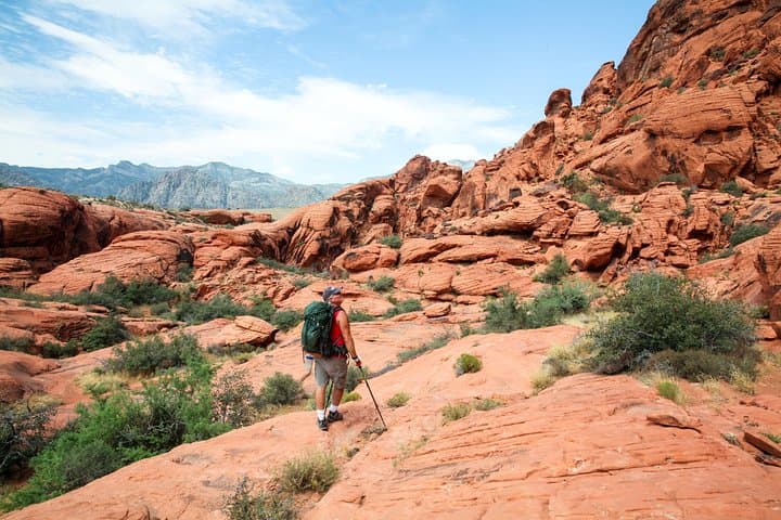 Red Rock Canyon Guided Hike from Las Vegas — Scenic Trails, Local Guides & Transport photo 2