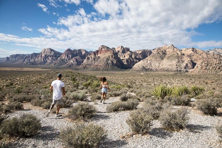 Red Rock Canyon Guided Hike from Las Vegas — Scenic Trails, Local Guides & Transport photo 4