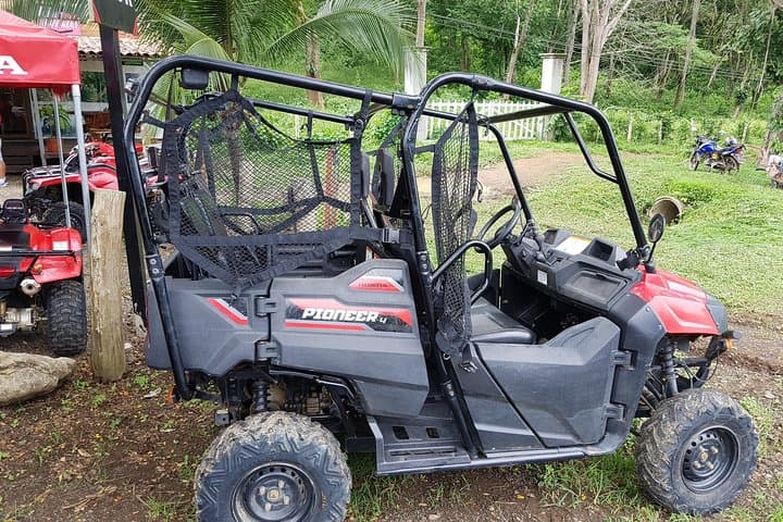 Private Jungle & River Buggy Exploration from San José — Los Sueños Adventure photo 4